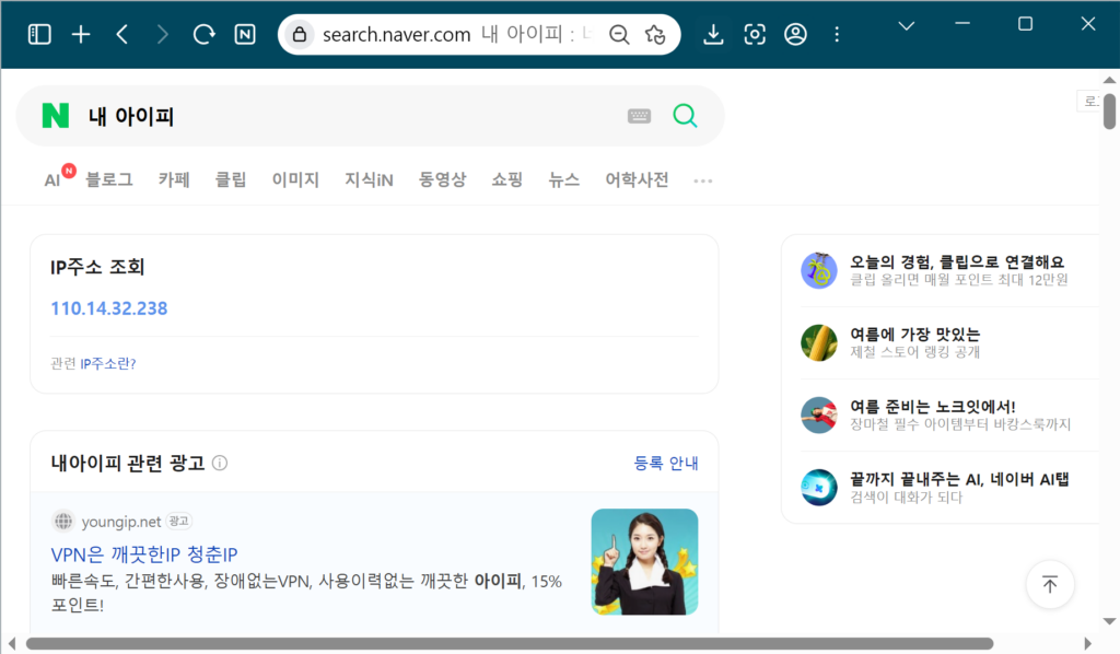 내 사이트 IP 조회, 어떻게 해야 할까 - 워드프레스 보안 초보 가이드 screenshot 2026 07 17 at 22.53.51